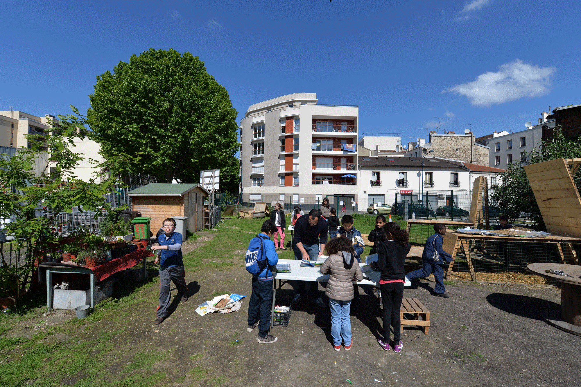 s+A-1404-BANANE-DSC_0045-web